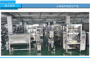 自动化包装生产线 从火锅底料到郫县豆瓣的工艺革新