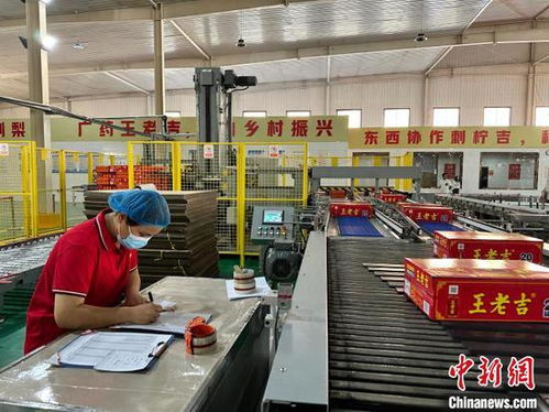 贵州刺梨产品跨山越海，粤黔协作“黔”景无限——现代化包装生产线助力产业腾飞